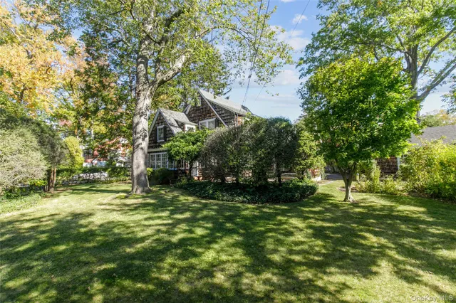 a view of a tree in a yard