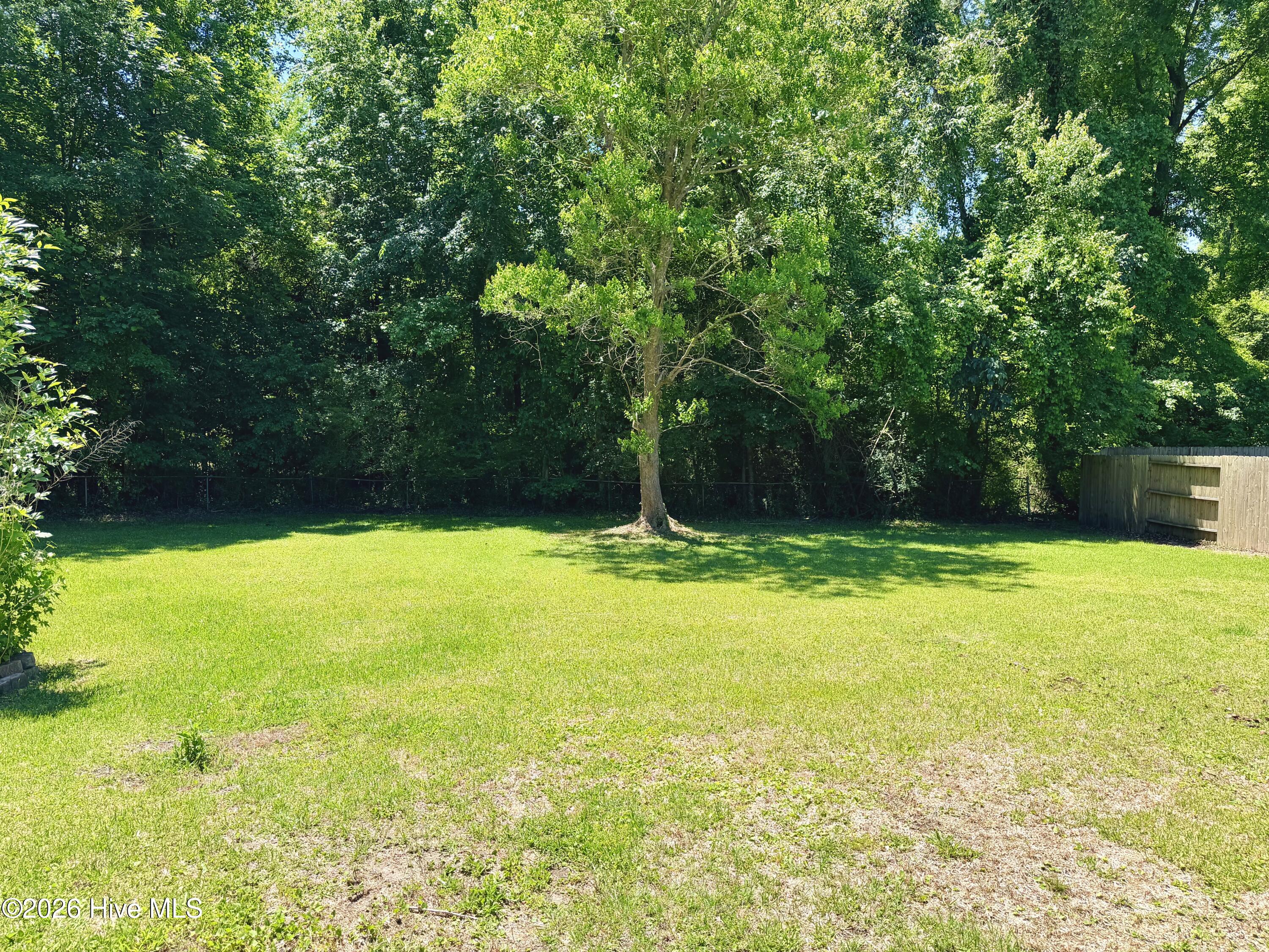 308 Sheffield Road Jacksonville, NC 28546 - Photo 20 of 22 Backyard