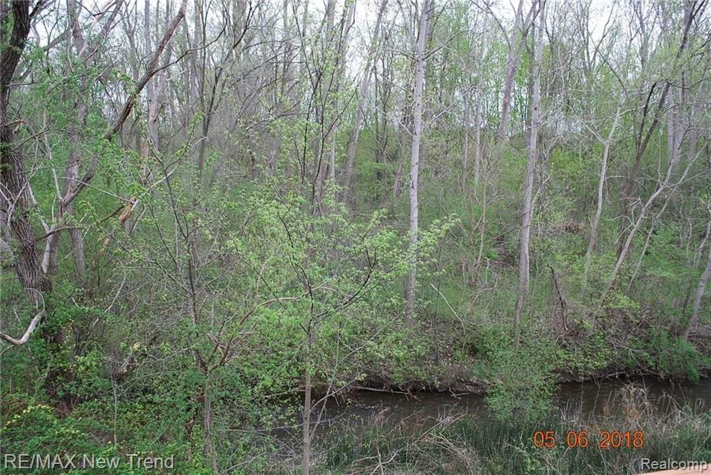 22150 River Ridge Trail, Unit 110 Farmington Hills, MI 48335 - Photo 13 of 23