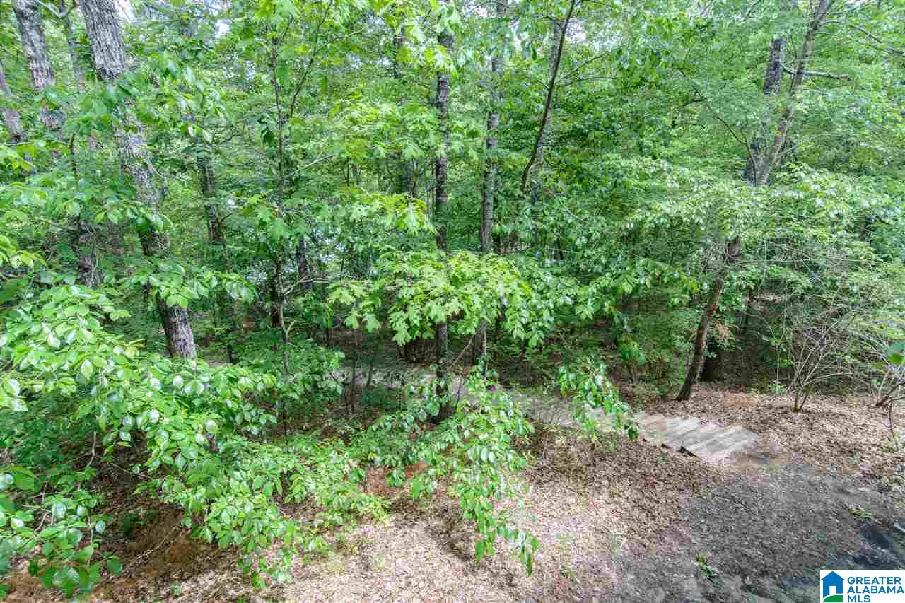 191 Pumpkin Hollow Road Sterrett, AL 35147 - Photo 44 of 50