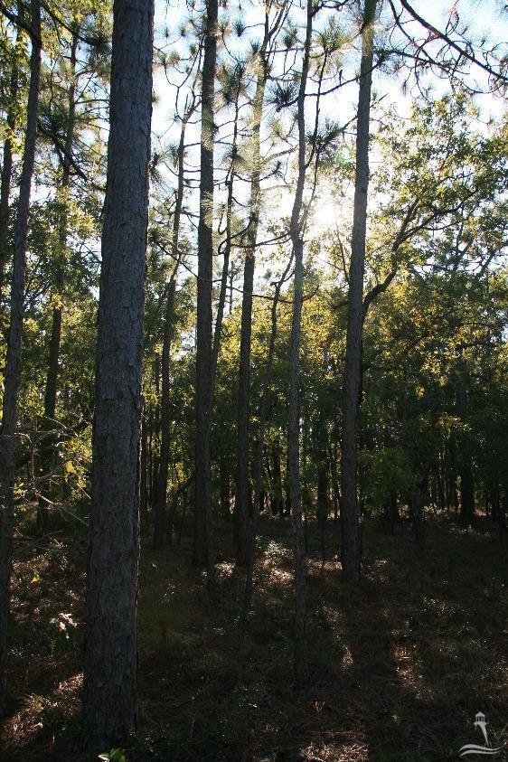 8 South High Point Road Southport, NC 28461 - Photo 11 of 17 Additional Photo