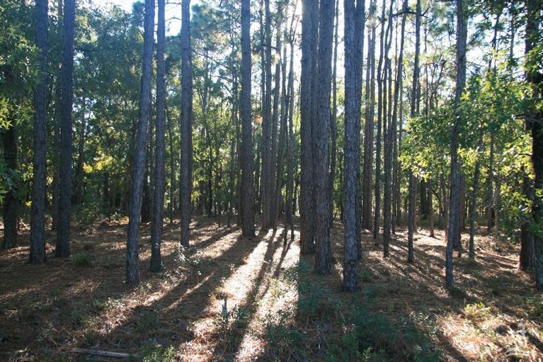 8 South High Point Road Southport, NC 28461 - Photo 3 of 17 Additional Photo