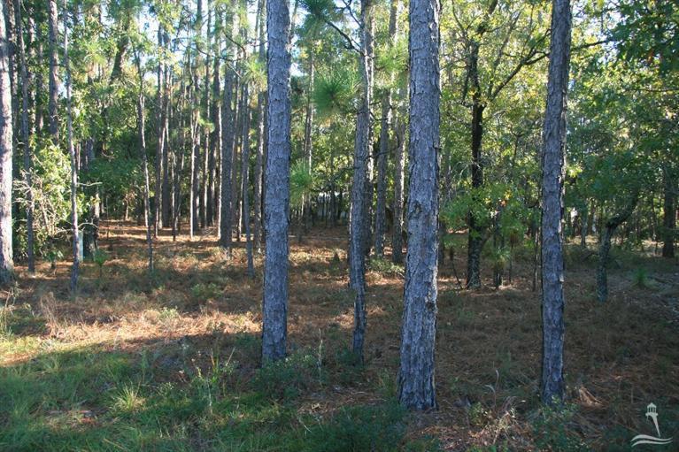 8 South High Point Road Southport, NC 28461 - Photo 10 of 17 Additional Photo