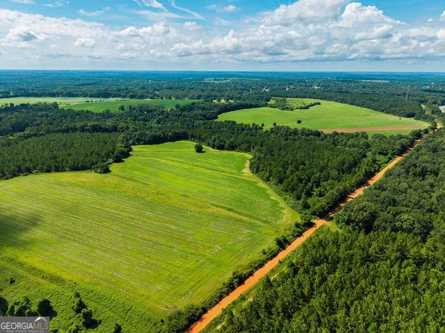 $895,000 | 266-ac Loven Mill Road, Richland, GA 31825
