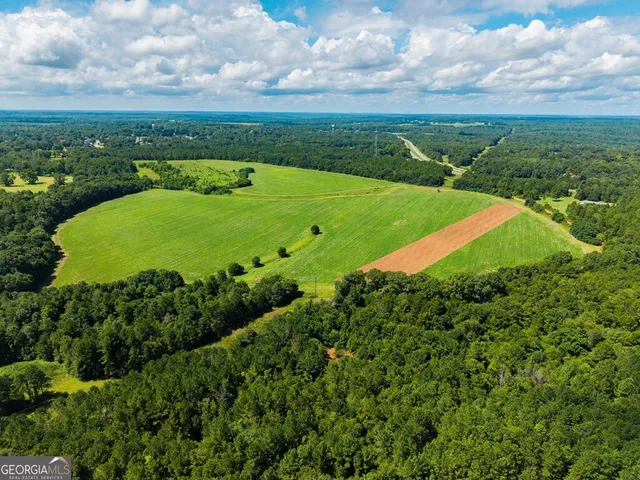 $895,000 | 266-ac Loven Mill Road, Richland, GA 31825