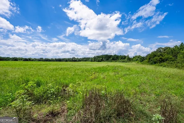 a view of a big yard with lots of green space