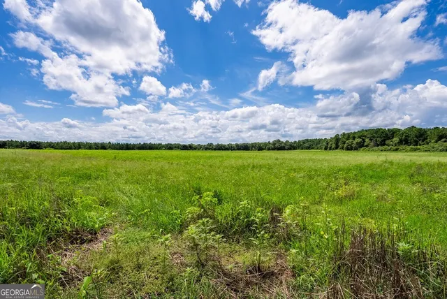 $895,000 | 266-ac Loven Mill Road, Richland, GA 31825