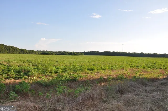 $895,000 | 266-ac Loven Mill Road, Richland, GA 31825