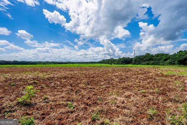 $895,000 | 266-ac Loven Mill Road, Richland, GA 31825