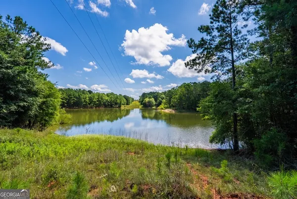 a view of a lake from a yard