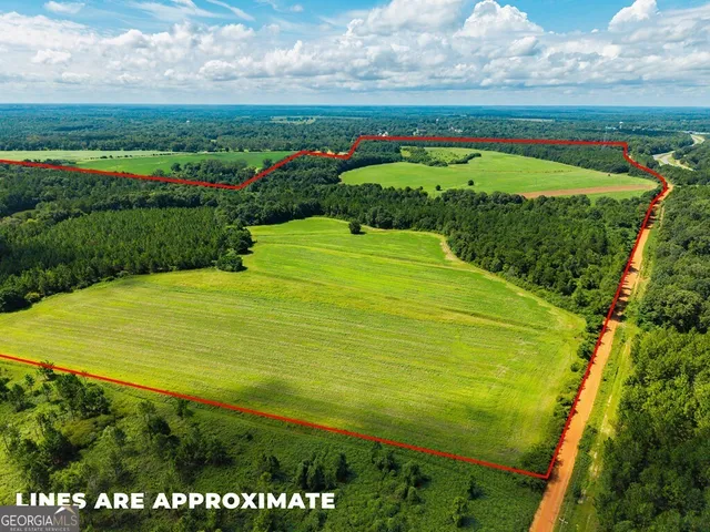 $895,000 | 266-ac Loven Mill Road, Richland, GA 31825