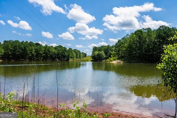a view of a lake with a garden