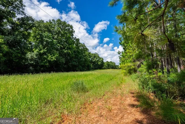 $895,000 | 266-ac Loven Mill Road, Richland, GA 31825