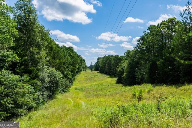 $895,000 | 266-ac Loven Mill Road, Richland, GA 31825