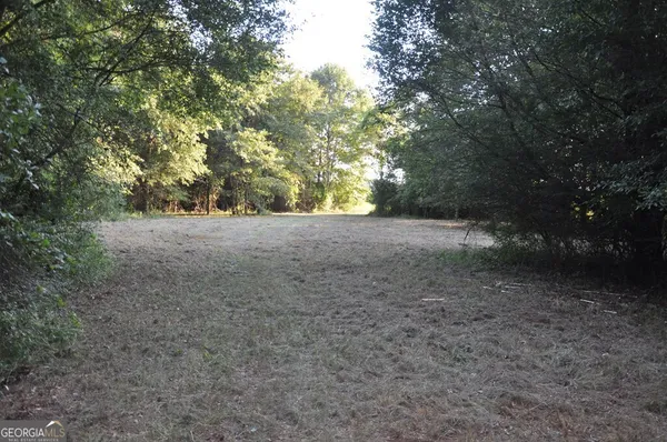 a view of a yard with a tree