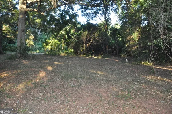 a view of a forest with trees in the background