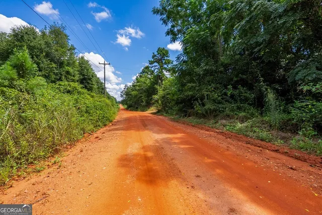 $895,000 | 266-ac Loven Mill Road, Richland, GA 31825