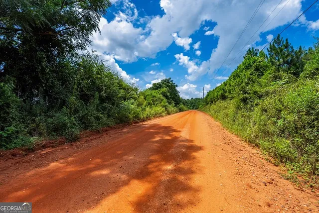 $895,000 | 266-ac Loven Mill Road, Richland, GA 31825