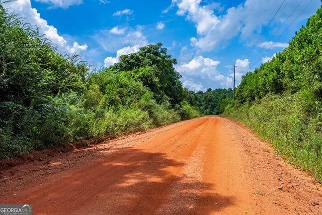 $895,000 | 266-ac Loven Mill Road, Richland, GA 31825