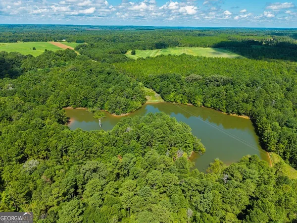 a view of a garden with a lake