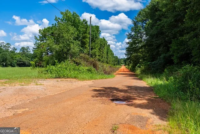 $895,000 | 266-ac Loven Mill Road, Richland, GA 31825