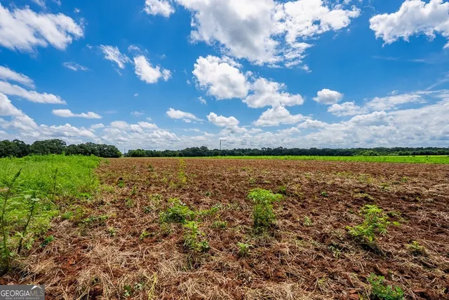 $895,000 | 266-ac Loven Mill Road, Richland, GA 31825