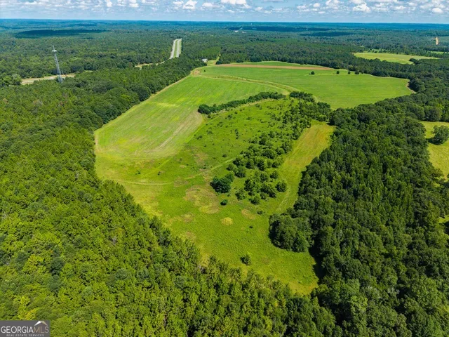 $895,000 | 266-ac Loven Mill Road, Richland, GA 31825