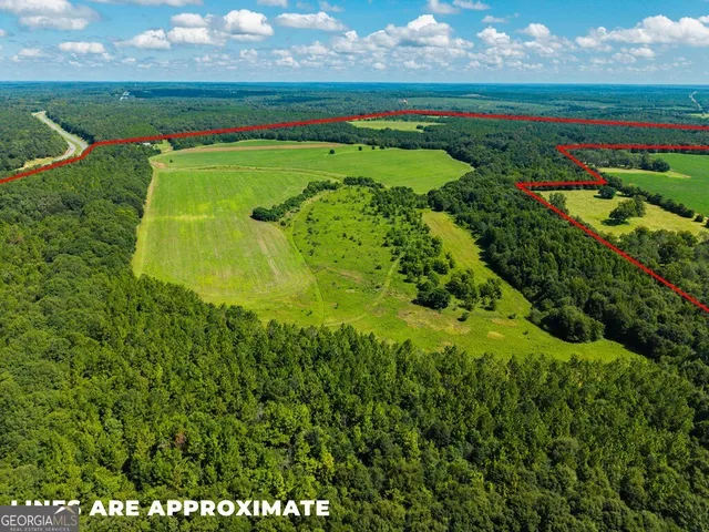 $895,000 | 266-ac Loven Mill Road, Richland, GA 31825