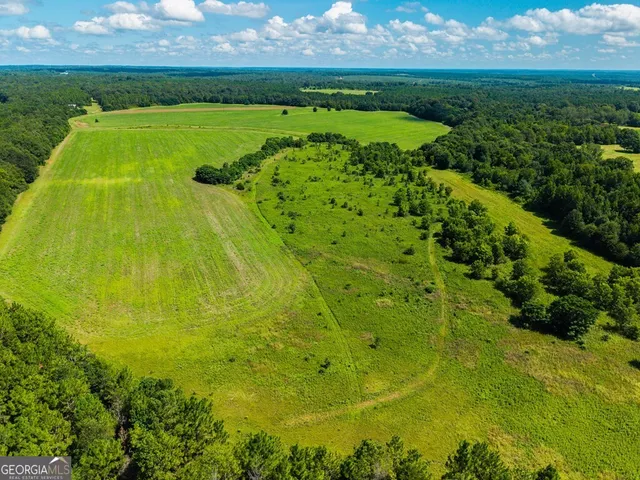 $895,000 | 266-ac Loven Mill Road, Richland, GA 31825