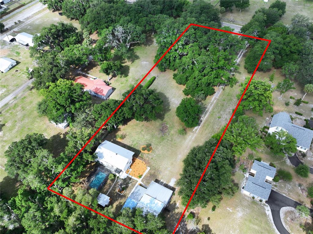 11008 Browning Road Lithia, FL 33547 - Photo 79 of 88