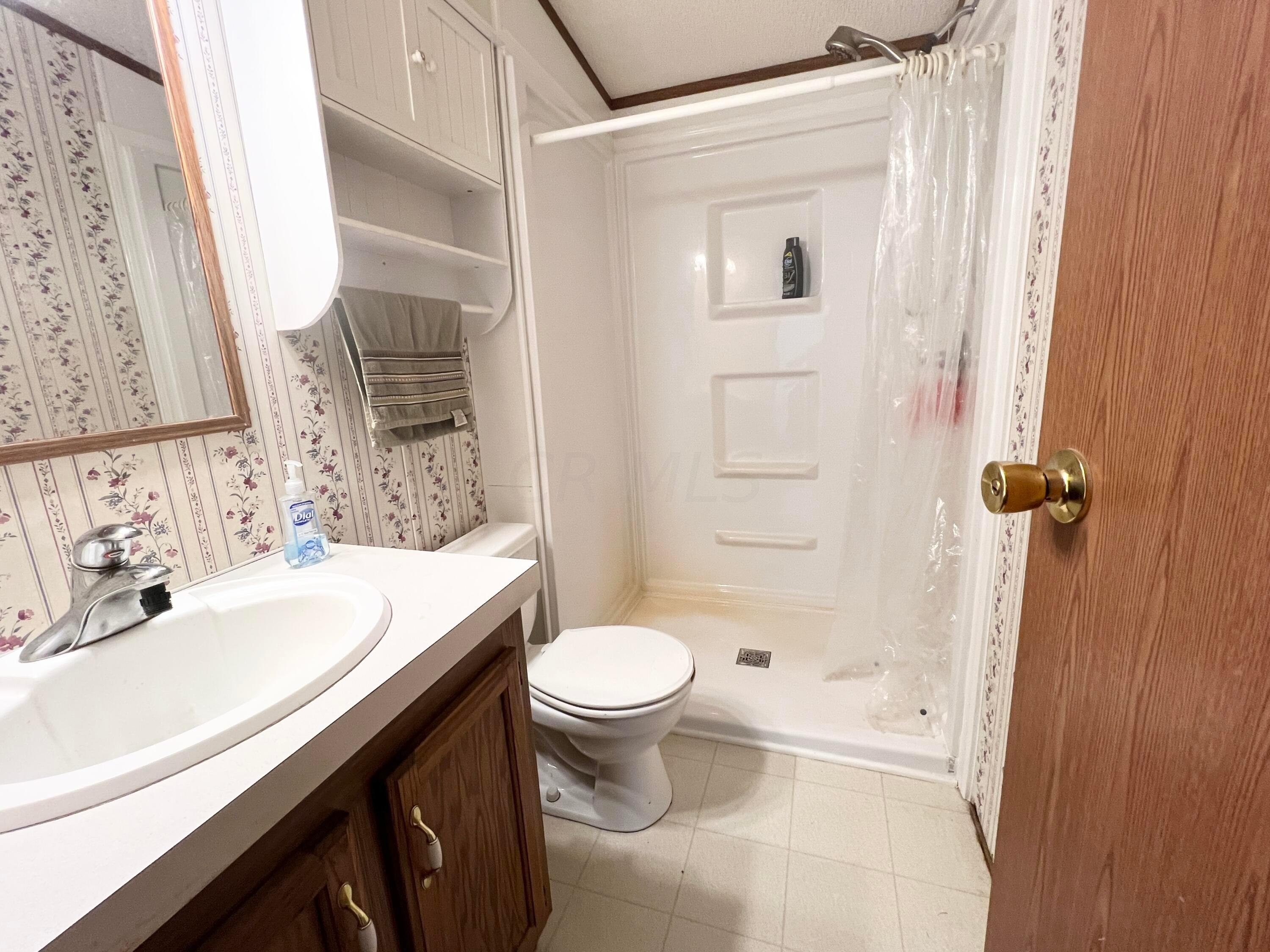 9575 Webb Summit Road Southeast Bremen, OH 43107 - Photo 14 of 21 Main Bath with Walk in Shower