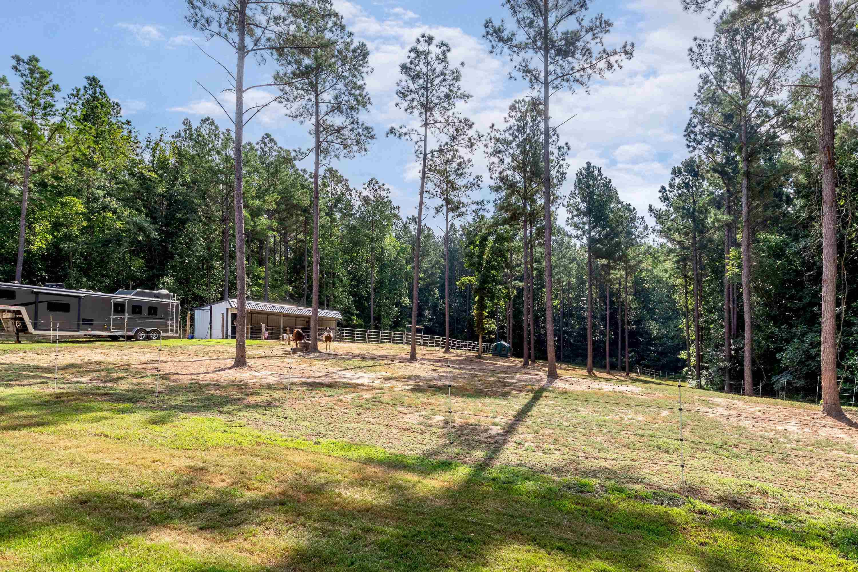 3613 Antioch Church Road Middlesex, NC 27557 - Photo 69 of 83 Photo 69