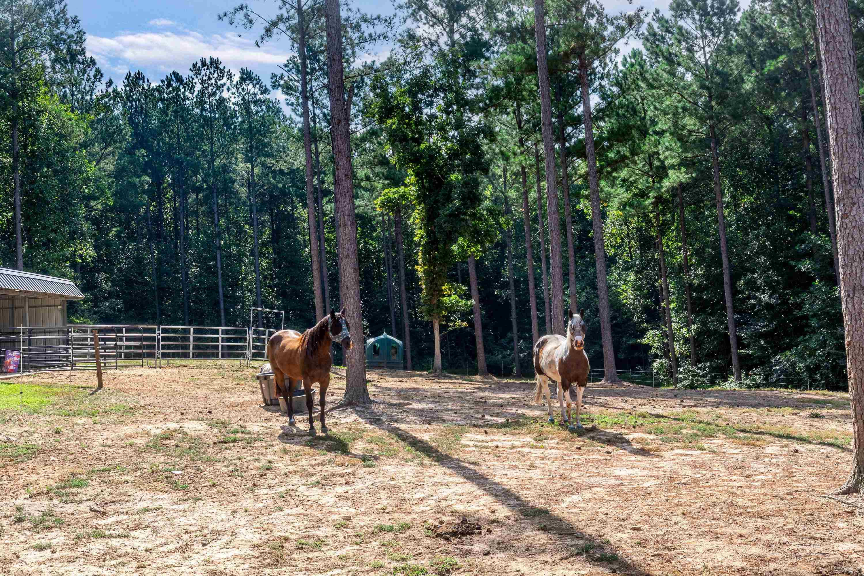 3613 Antioch Church Road Middlesex, NC 27557 - Photo 70 of 83 Photo 70