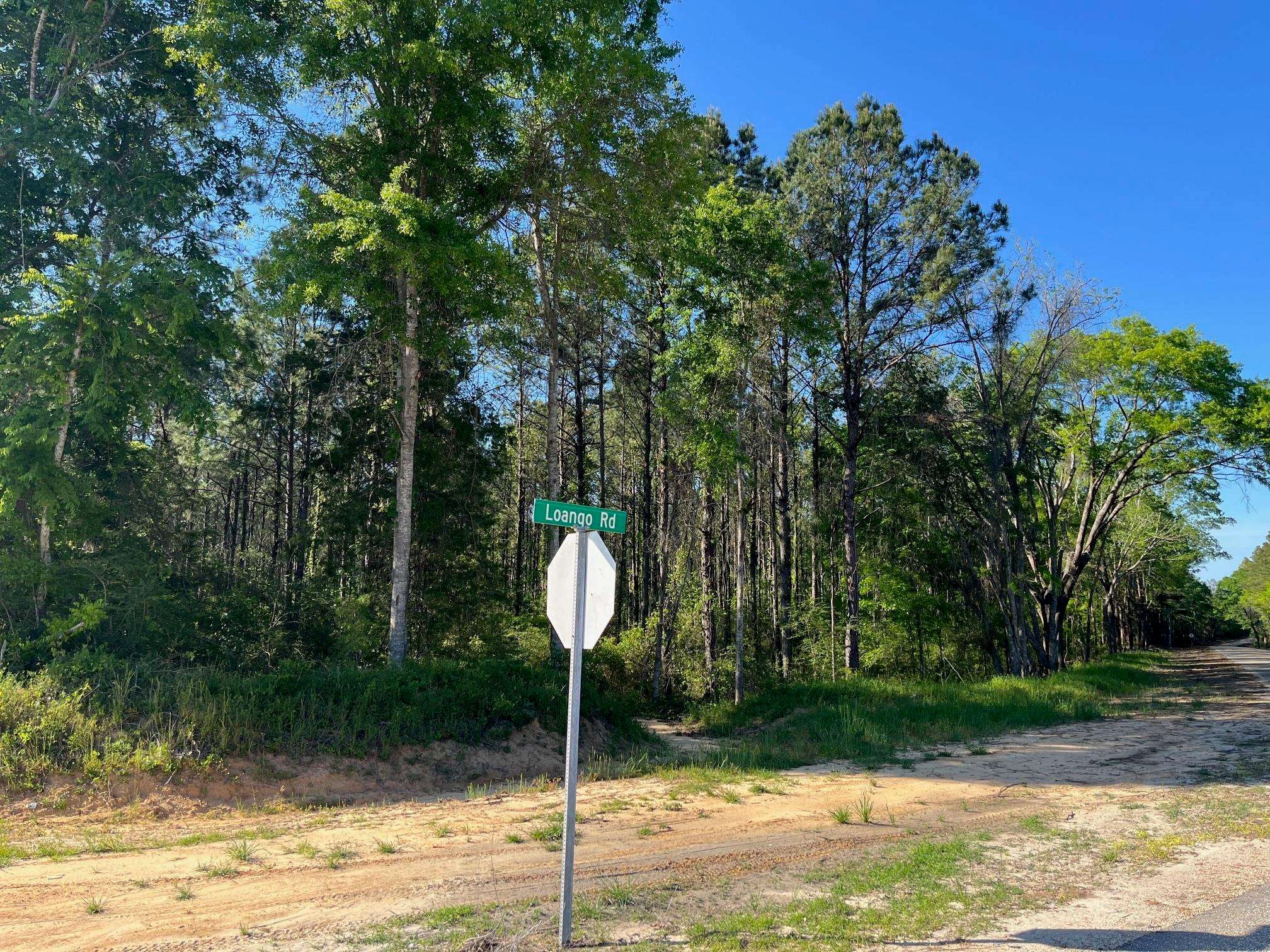 0 Judge Smith Road/loango Road Andalusia, AL 36421 - Photo 5 of 9 Gallery Image 5