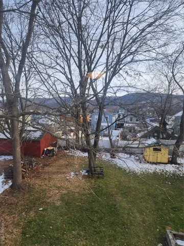 a view of a town with large trees