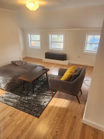 a living room with furniture rug and window