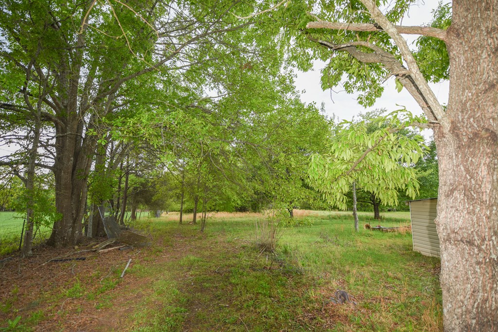715 Martin Road Starr, SC 29684 - Photo 9 of 30