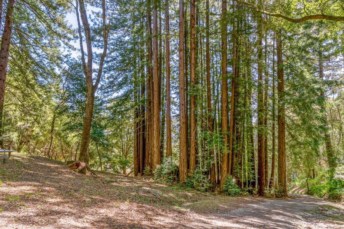 1404 Olive Springs Road Soquel, CA 95073 - Photo 34 of 55 Gallery Image 34