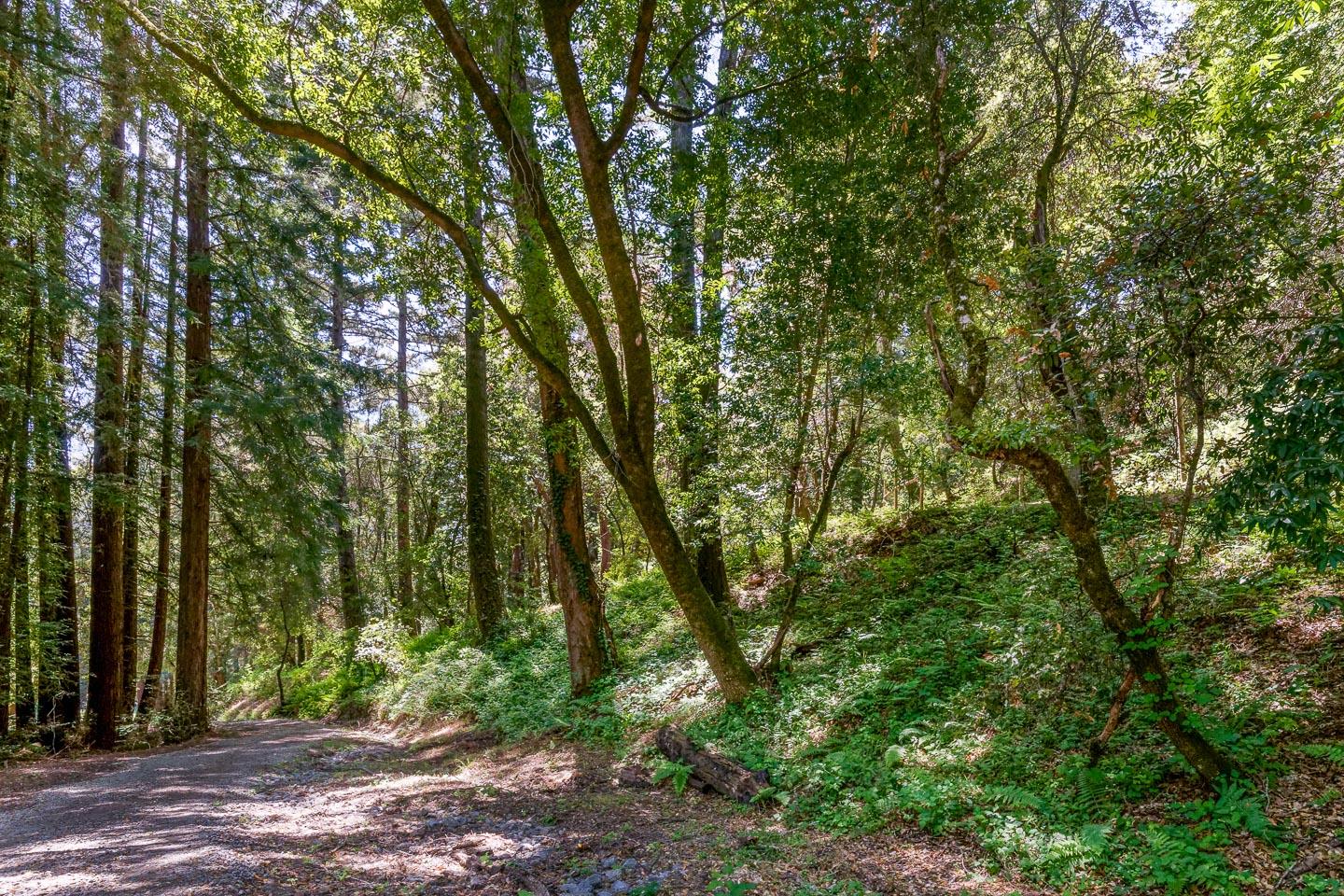 1404 Olive Springs Road Soquel, CA 95073 - Photo 35 of 55 Gallery Image 35