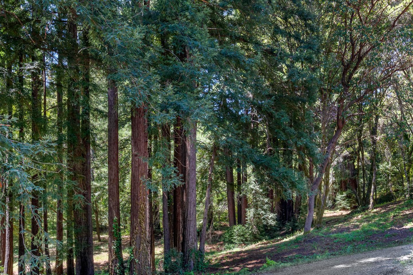 1404 Olive Springs Road Soquel, CA 95073 - Photo 36 of 55 Gallery Image 36