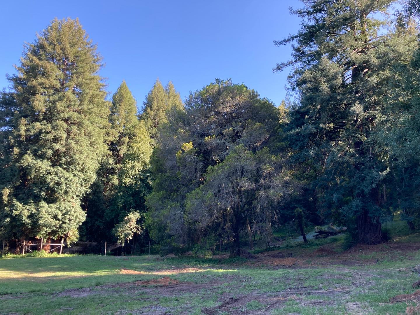 1404 Olive Springs Road Soquel, CA 95073 - Photo 41 of 55 Gallery Image 41