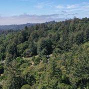 1404 Olive Springs Road Soquel, CA 95073 - Photo 47 of 55 Gallery Image 47
