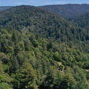1404 Olive Springs Road Soquel, CA 95073 - Photo 53 of 55 Gallery Image 53