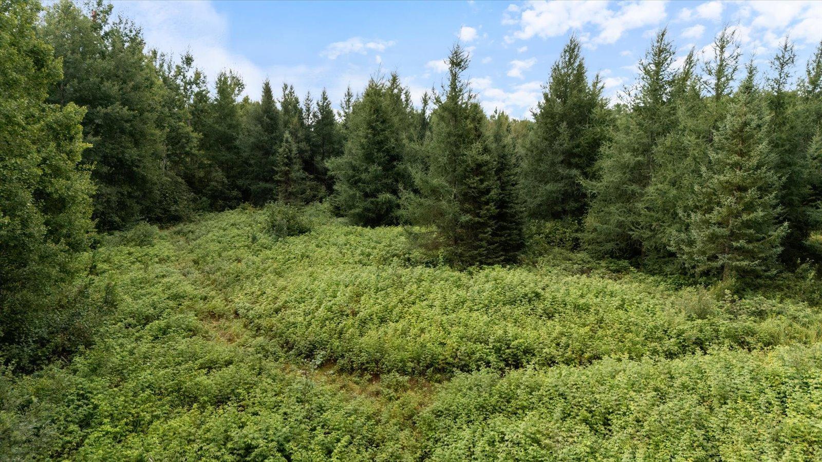 9401 Samuelson Road Angora, MN 55703 - Photo 14 of 35