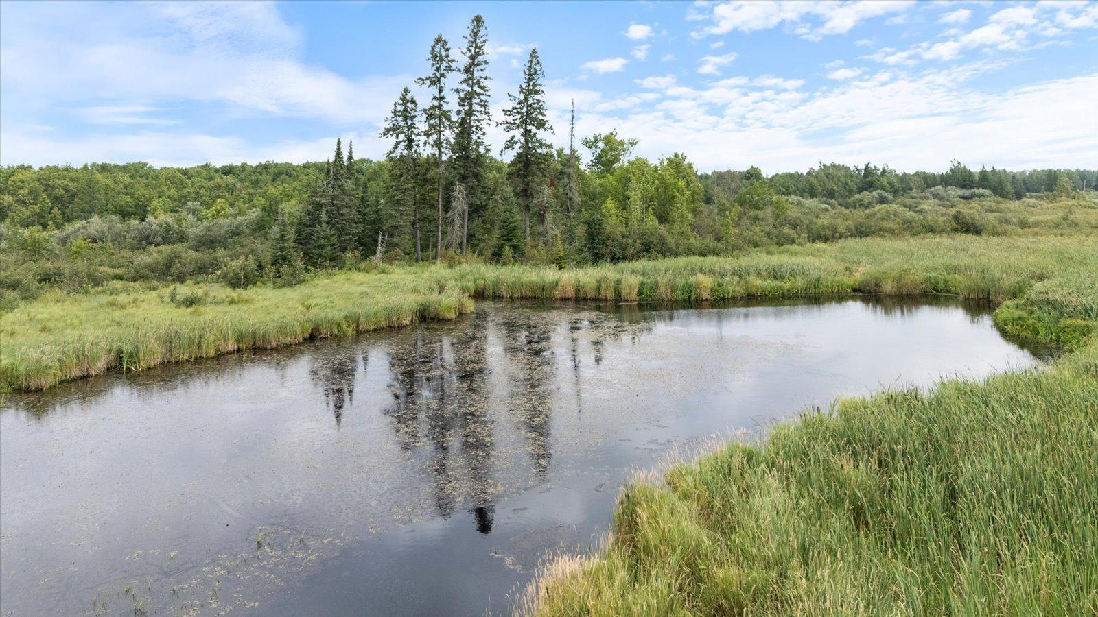 9401 Samuelson Road Angora, MN 55703 - Photo 9 of 35