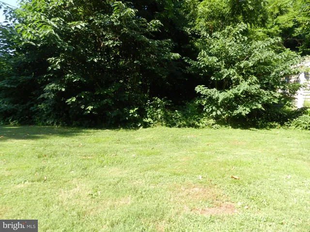 a view of yard with green space