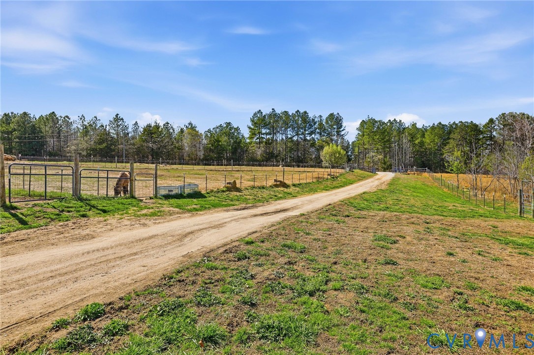 484 Dobbins Bridge Road Blackstone, VA 23824 - Photo 22 of 68