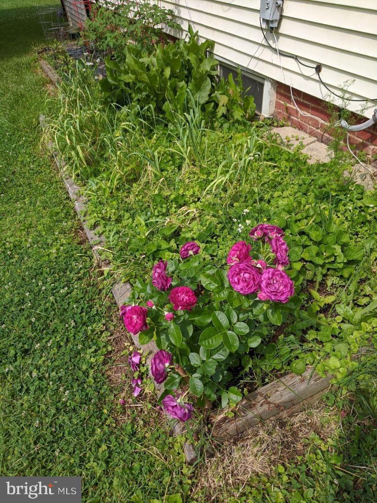 12 George Street Gaithersburg, MD 20877 - Photo 13 of 51 Side garden plot