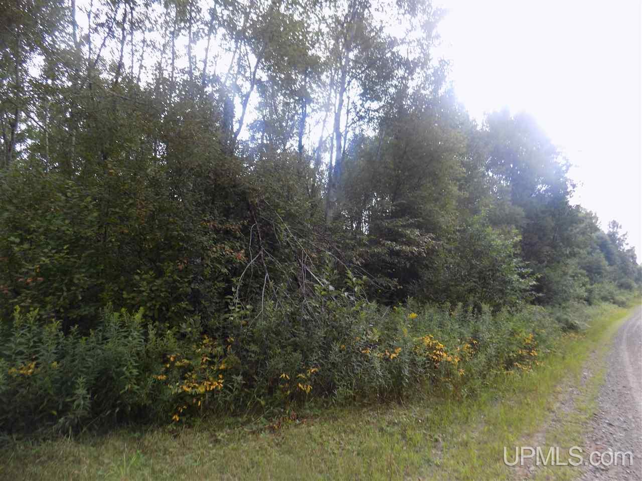 Tbd Mill Creek Road Republic, MI 49879 - Photo 8 of 11