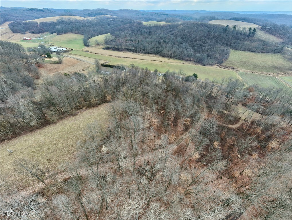 Frys Valley Road Southwest Port Washington, OH 43837 - Photo 7 of 14 Bird's eye view featuring a rural view